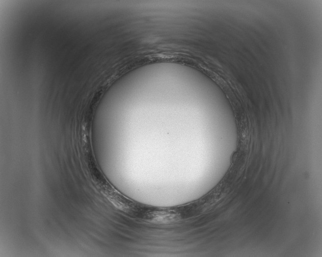 X0000084040555200702160856