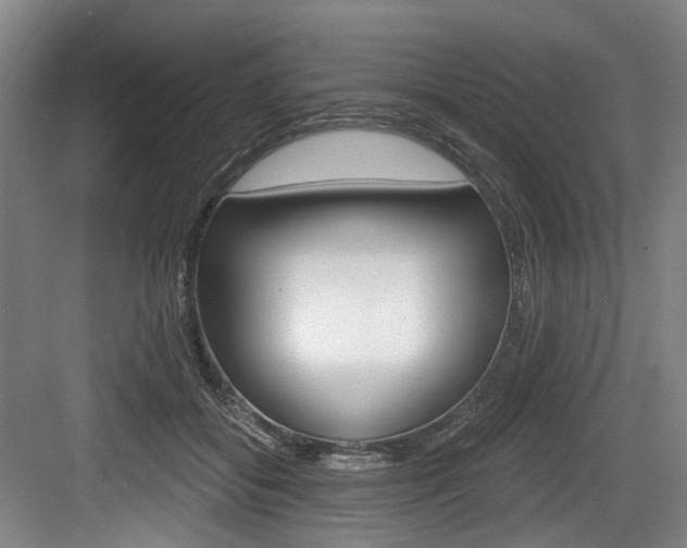 X0000084040556200702160856