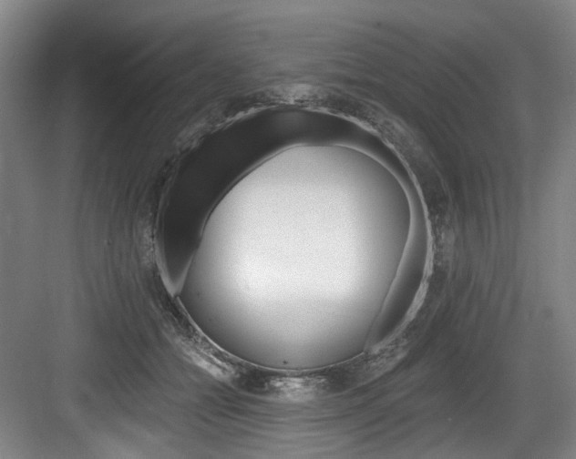 X0000084040558200702160856