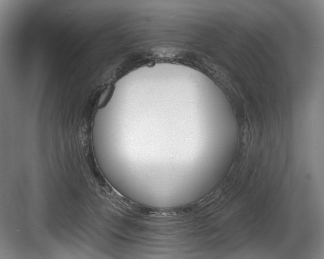 X0000084040559200702160856