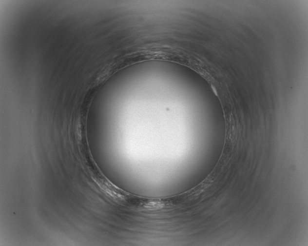 X0000084040562200702160856