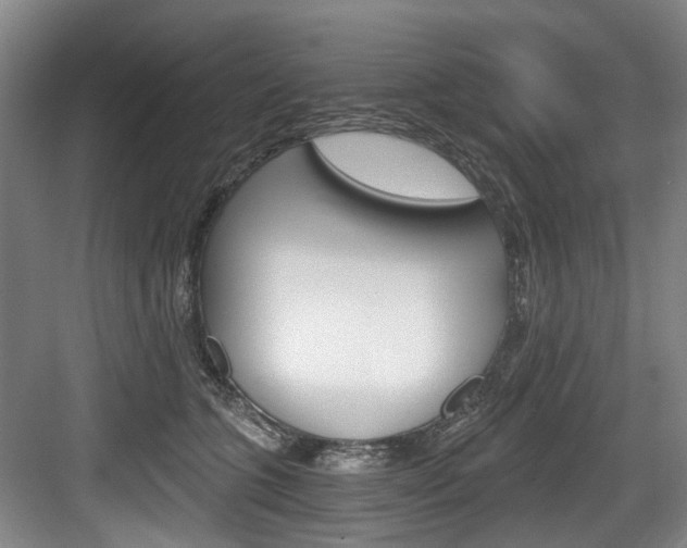 X0000084040563200702160856