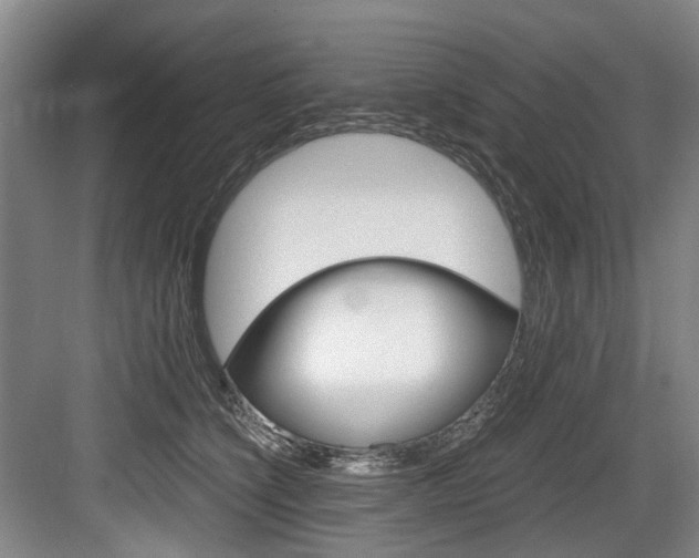 X0000084040564200702160856