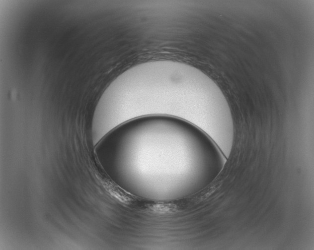 X0000084040566200702160856