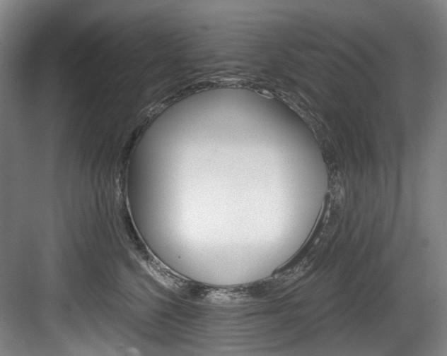X0000084040568200702160856