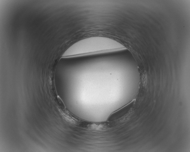 X0000084040570200702160856