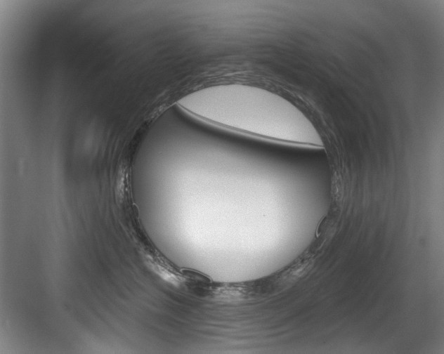 X0000084040574200702160856