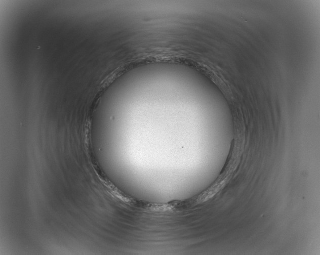X0000084040576200702160856
