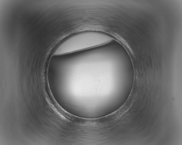 X0000084040581200702160855