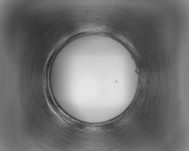X0000084040582200702160855