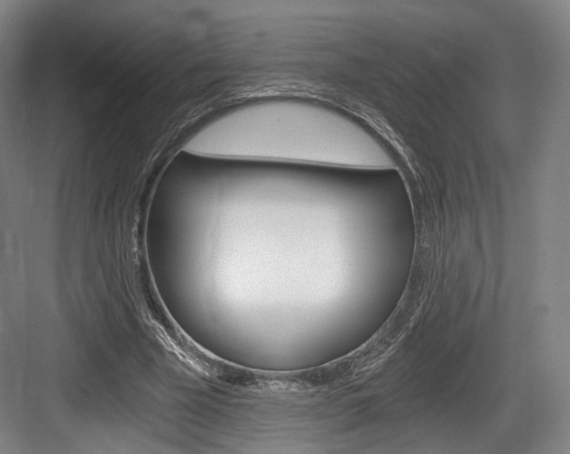 X0000084040585200702160855