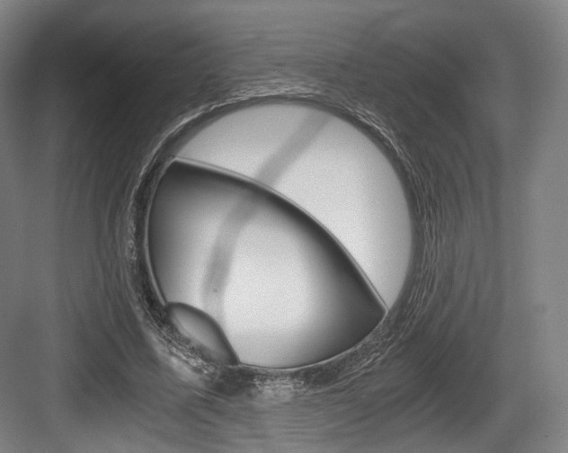 X0000084040587200702160855