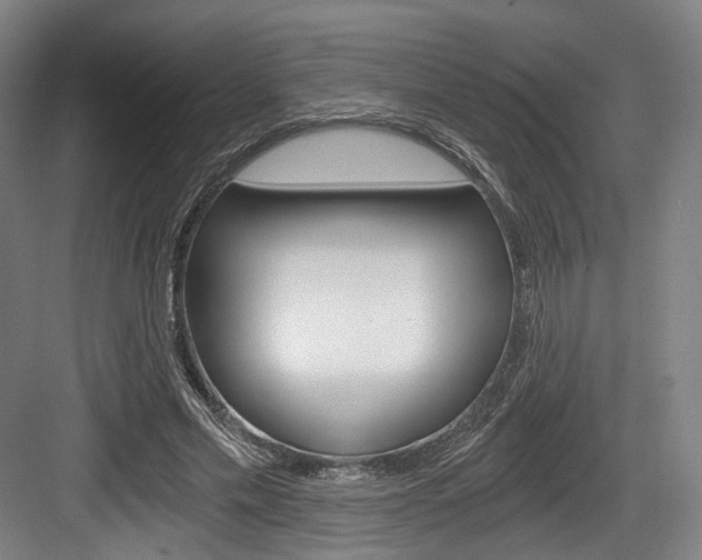 X0000084040589200702160855