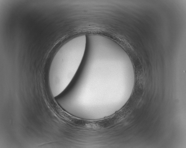X0000084040591200702160855