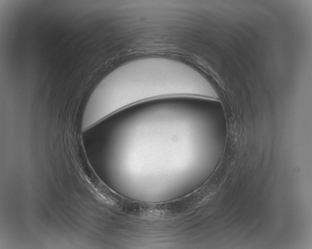 X0000084040593200702160855