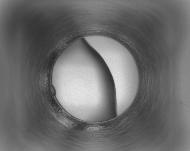 X0000084040595200702160855