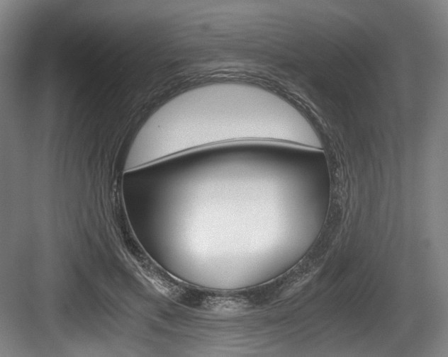 X0000084040597200702160855