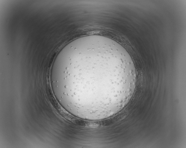 X0000084040598200702160855