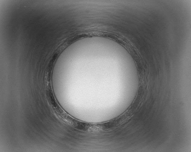 X0000084040599200702160855