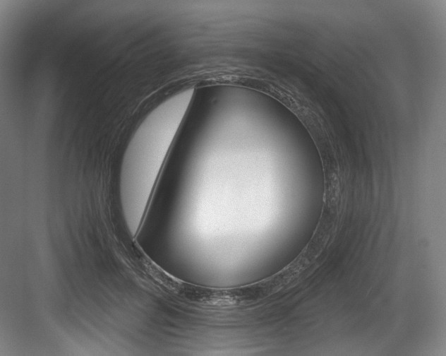 X0000084040600200702160855