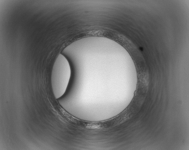 X0000084040602200702160855