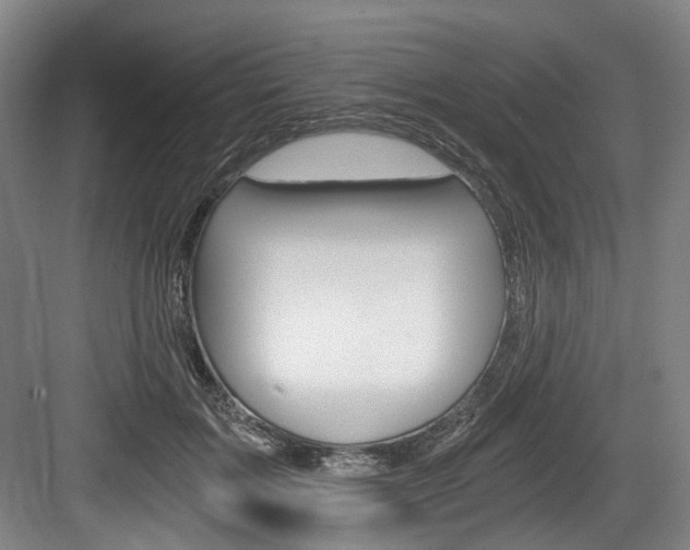 X0000084040603200702160855