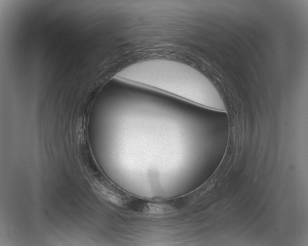 X0000084040605200702160855