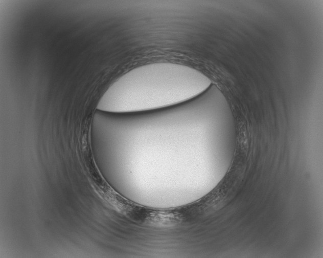 X0000084040607200702160855