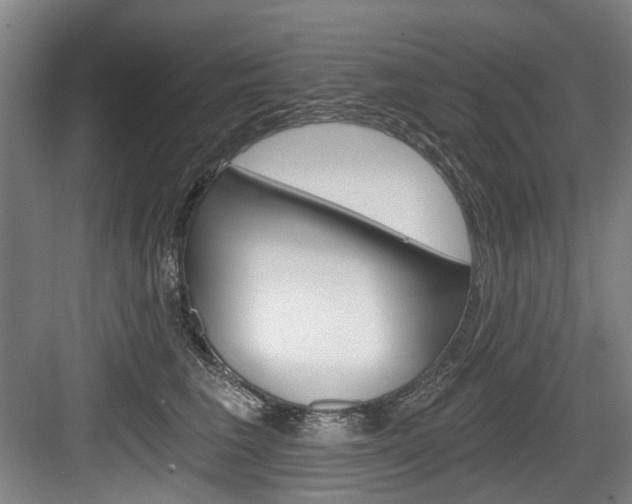 X0000084040613200702160855