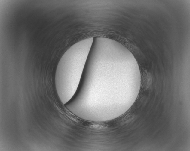 X0000084040614200702160855