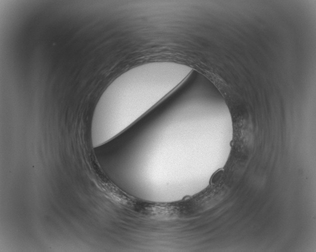 X0000084040615200702160855