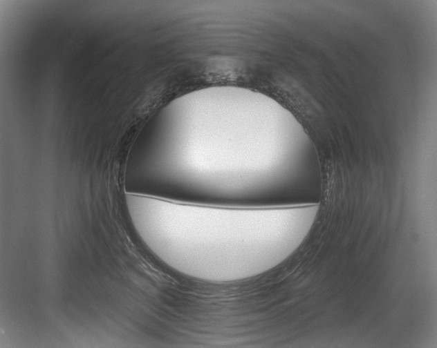 X0000084040616200702160855