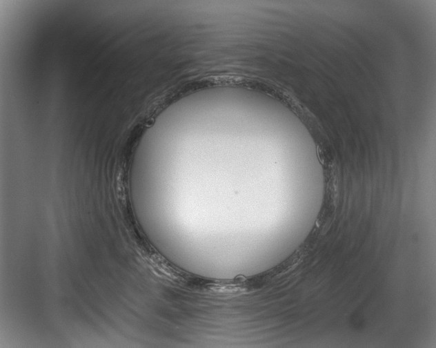 X0000084040619200702160855