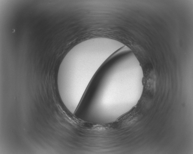 X0000084040620200702160855