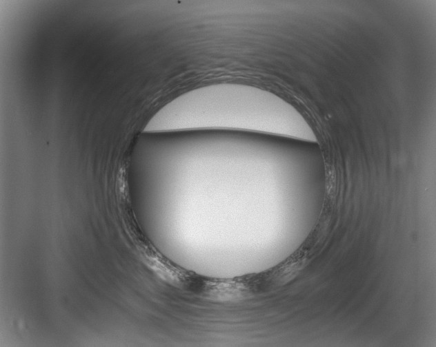 X0000084040621200702160855