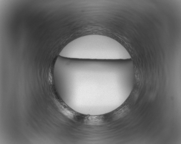 X0000084040622200702160855