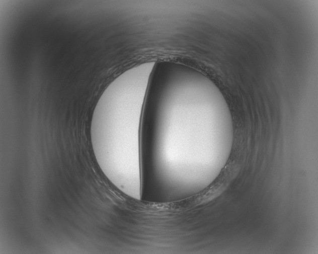 X0000084040624200702160855