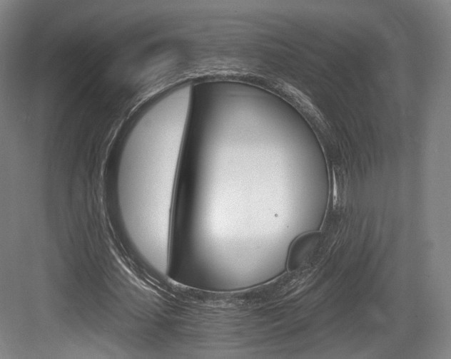 X0000084040627200702160854