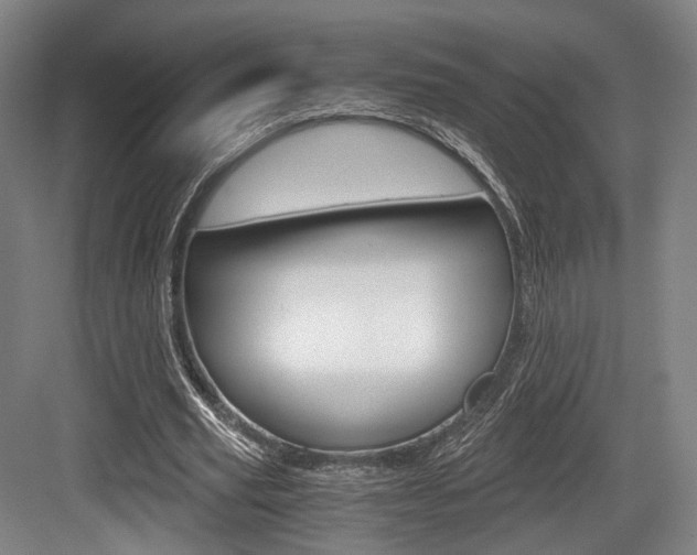 X0000084040629200702160854