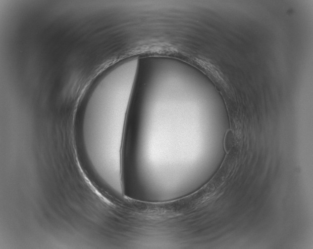 X0000084040630200702160854