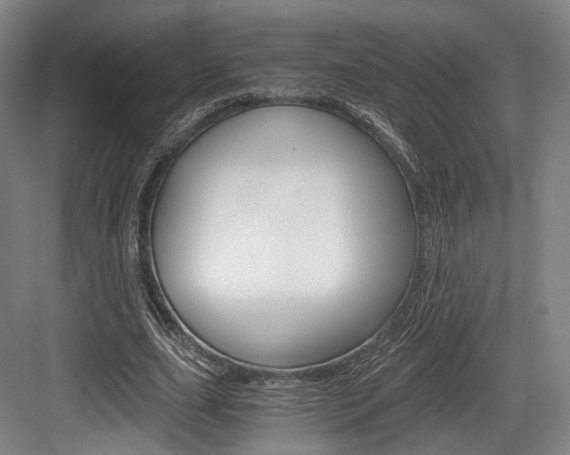 X0000084040631200702160854