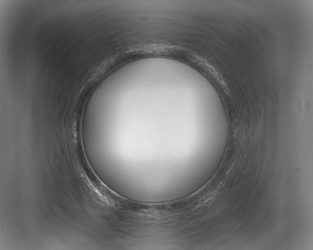 X0000084040633200702160854