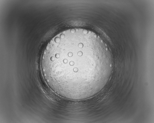 X0000084040635200702160854