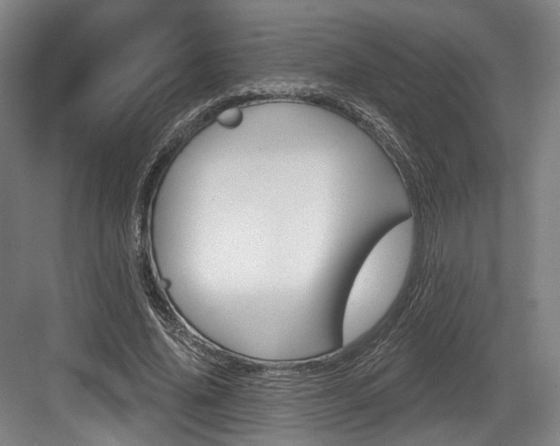 X0000084040636200702160854