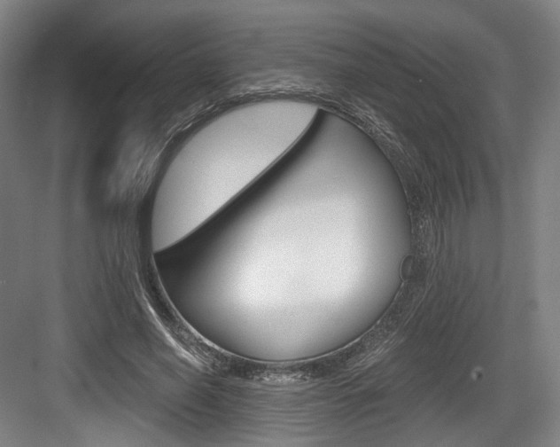 X0000084040638200702160854