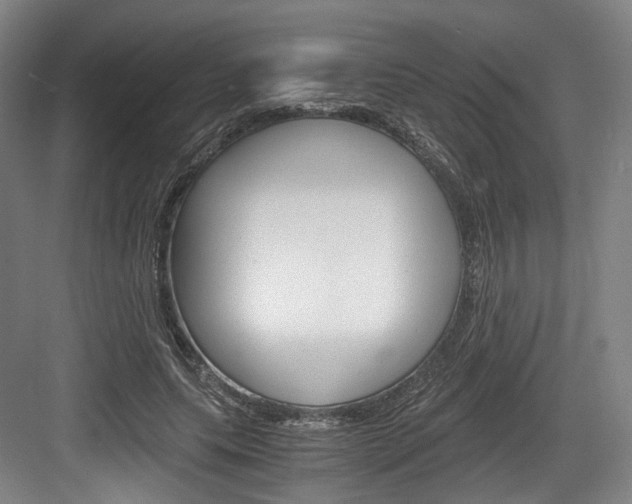 X0000084040639200702160854