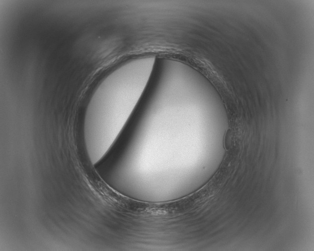 X0000084040640200702160854