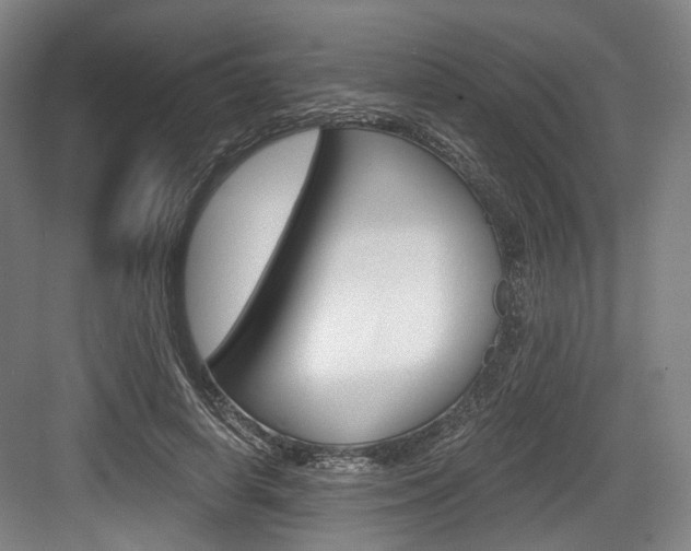 X0000084040642200702160854
