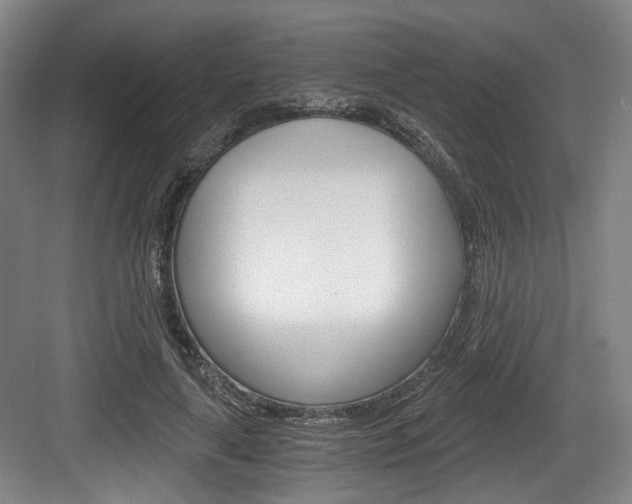 X0000084040643200702160854
