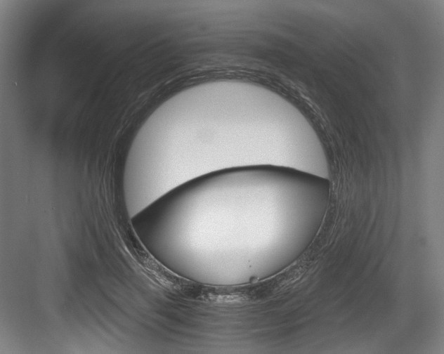 X0000084040645200702160854